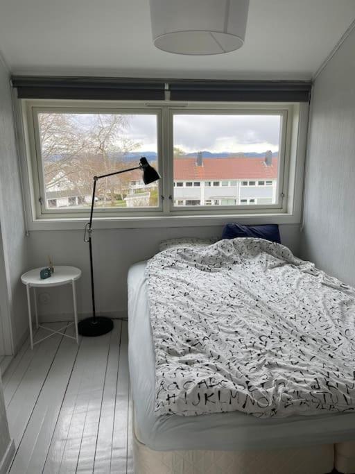 Appartement Til Leie I Sommer, Naerhet Til Og Sentrum