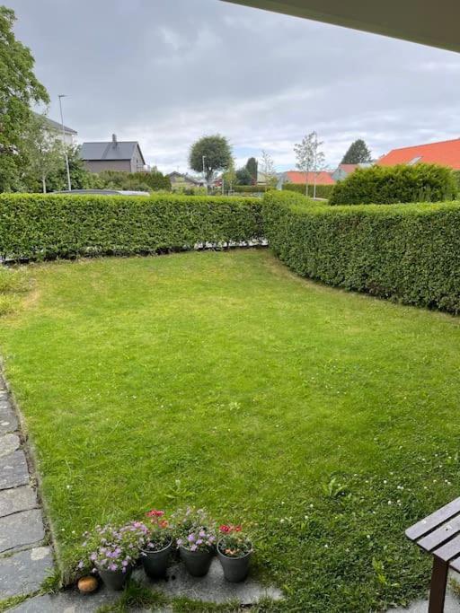 Til Leie I Sommer, Naerhet Til Og Sentrum *